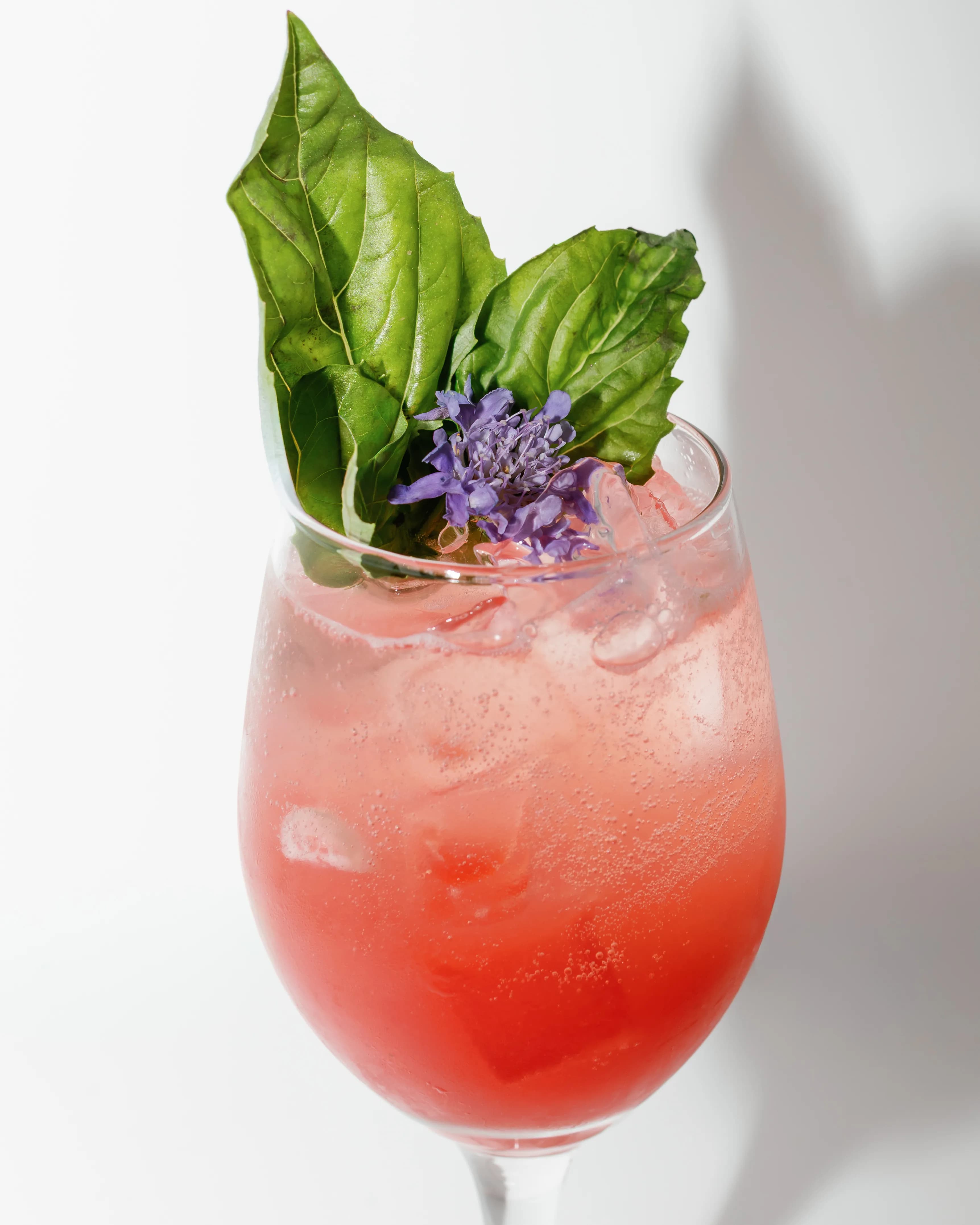Strawberry Basil Spritz cocktail in a wine glass with fresh basil and strawberry garnish at Darling Aviary rooftop cocktail bar, Downtown Sacramento
